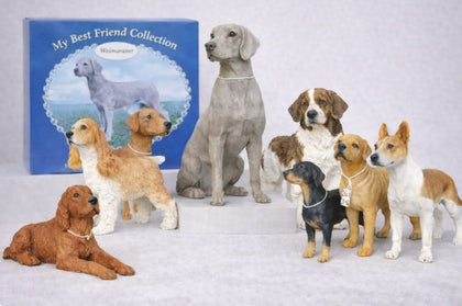 My best friend collection