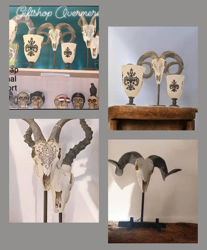 Skull decoration